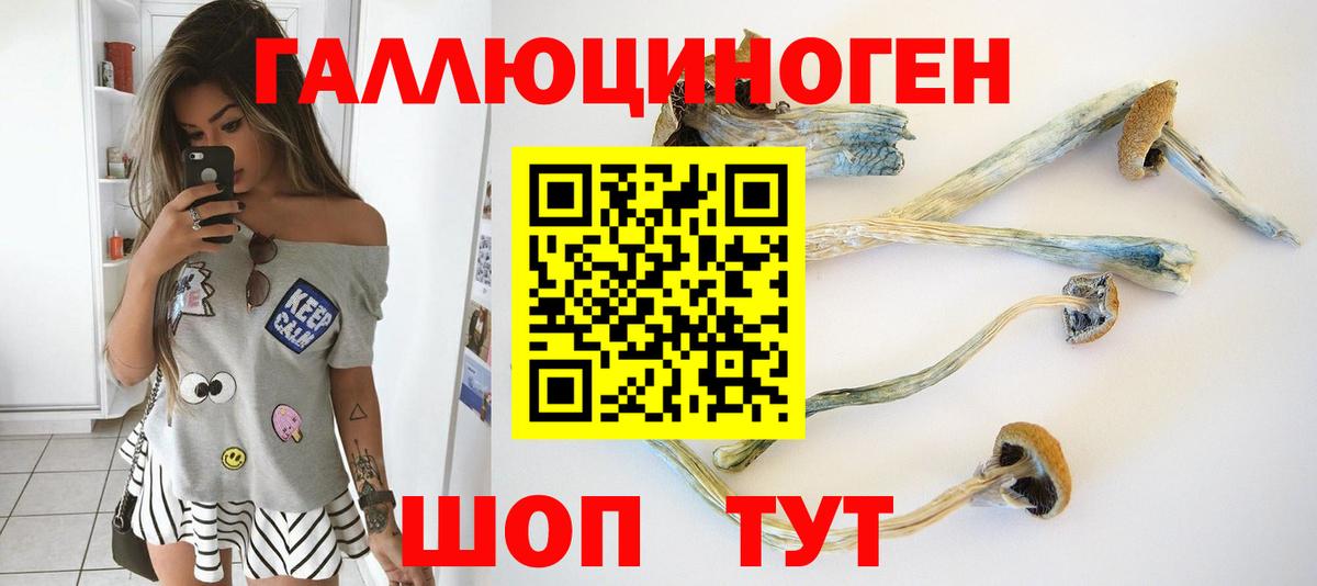 Псилоцибиновые грибы прущие грибы  Вход с VPN  Горячий Ключ  Галлюциногенные грибы прущие грибы 