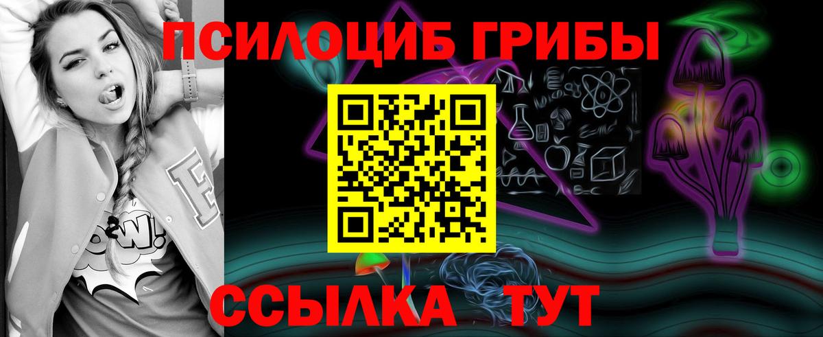 Псилоцибиновые грибы мухоморы Горячий Ключ